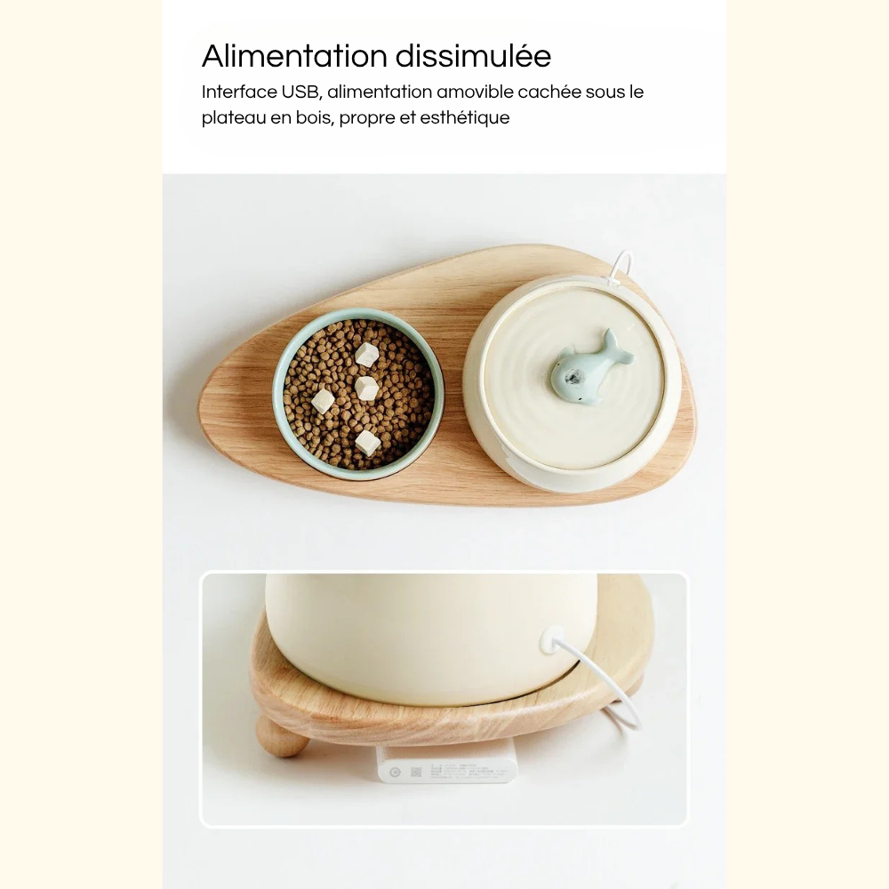 Fontaine Automatique Premium