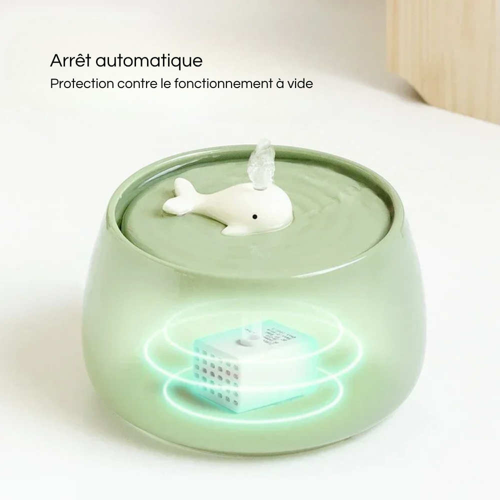 Fontaine Automatique Premium