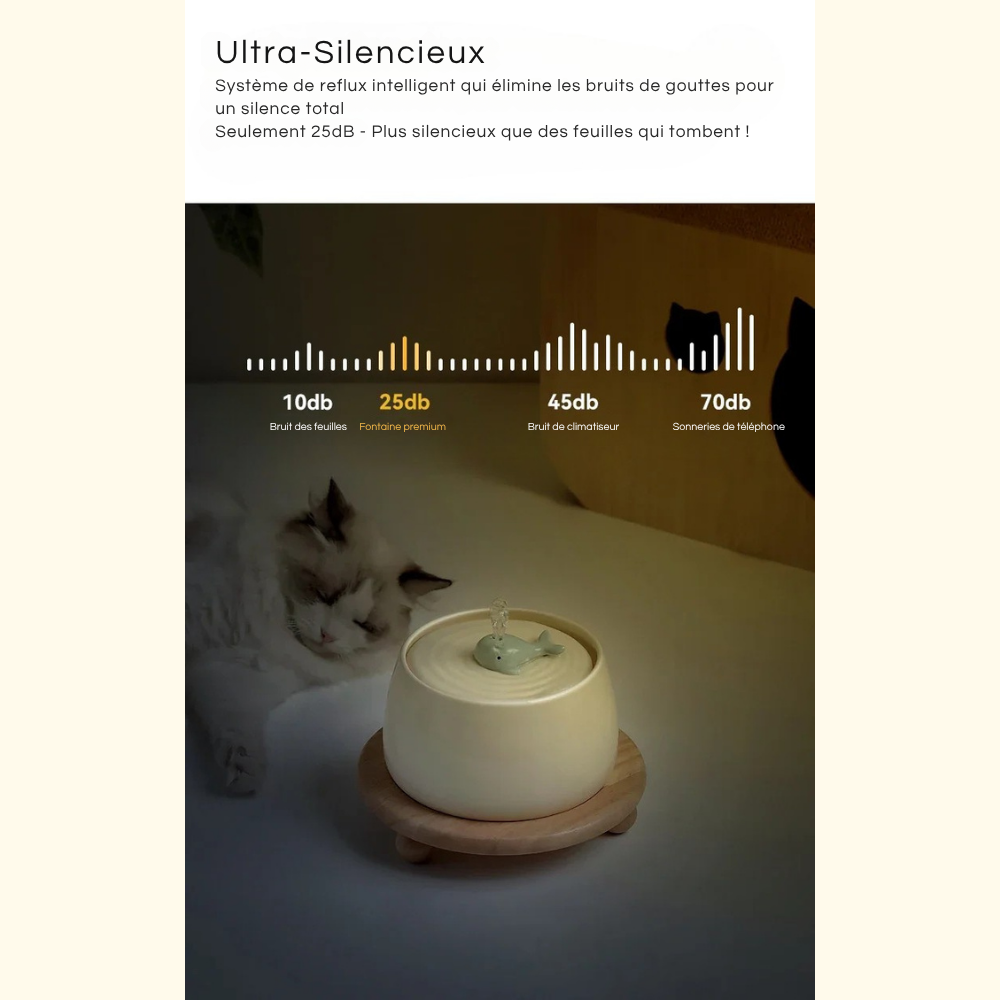 Fontaine Automatique Premium