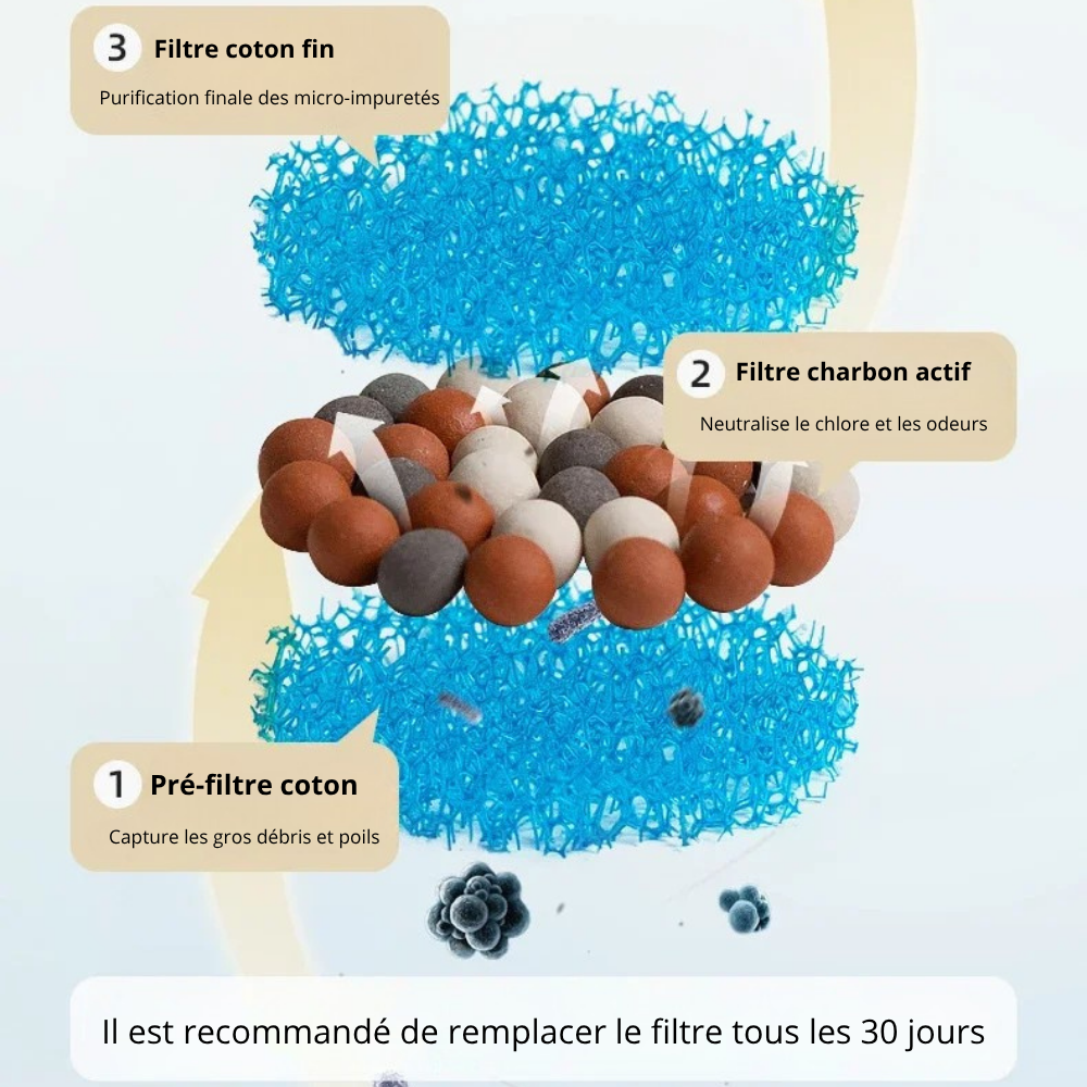 Fontaine Automatique Premium