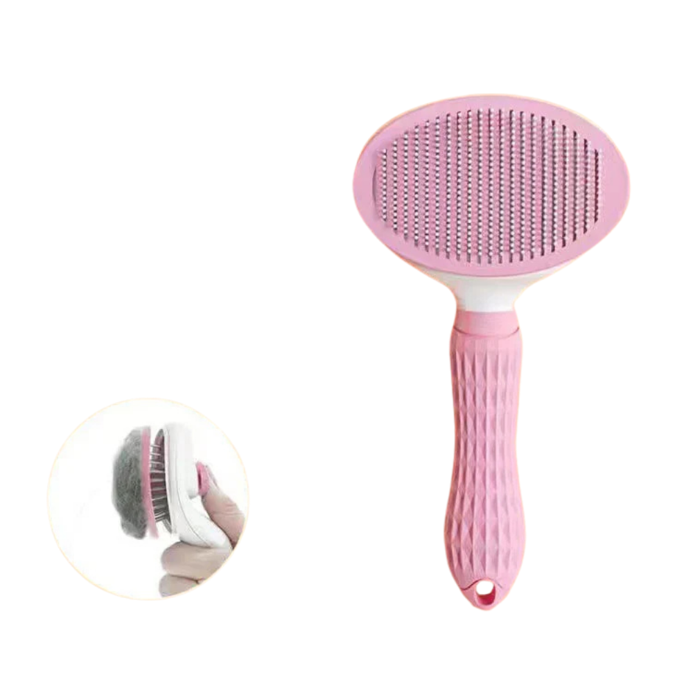 Brosse Auto-Nettoyante
