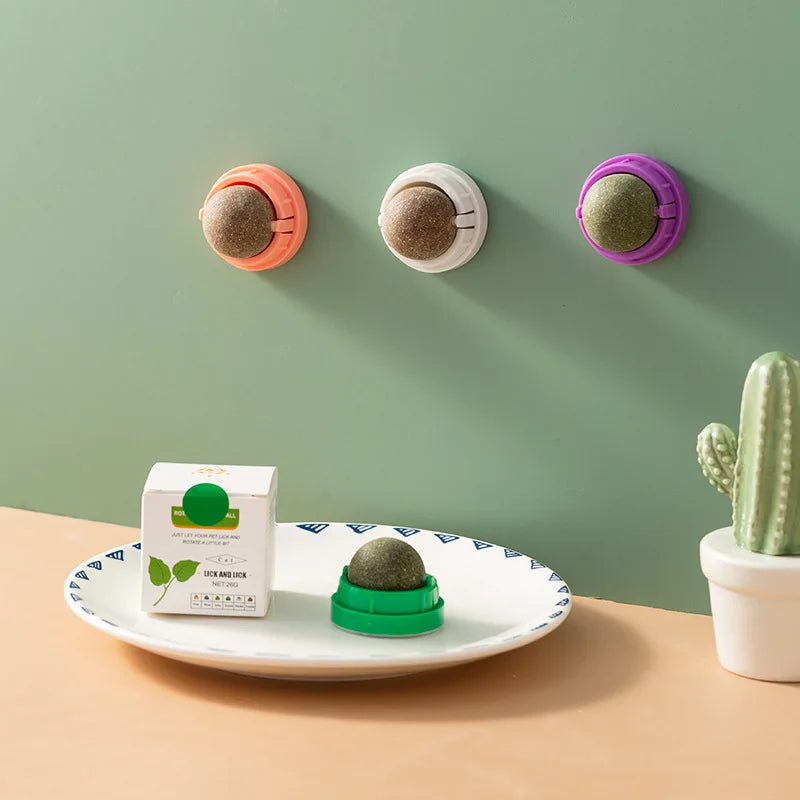 Boule d'Herbe pour chats