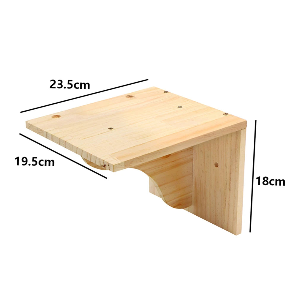 Système d'Escalade Mural Modulaire
