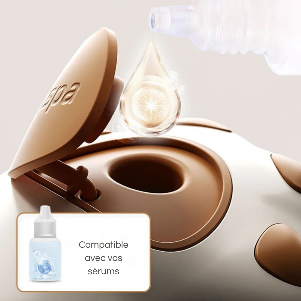 Brosse Vapeur 3-en-1 Premium