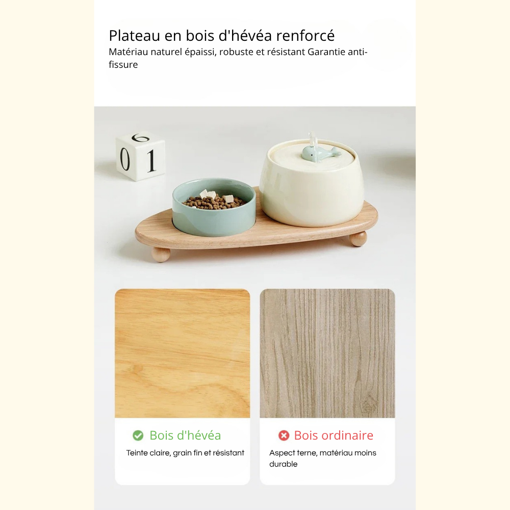 Fontaine Automatique Premium