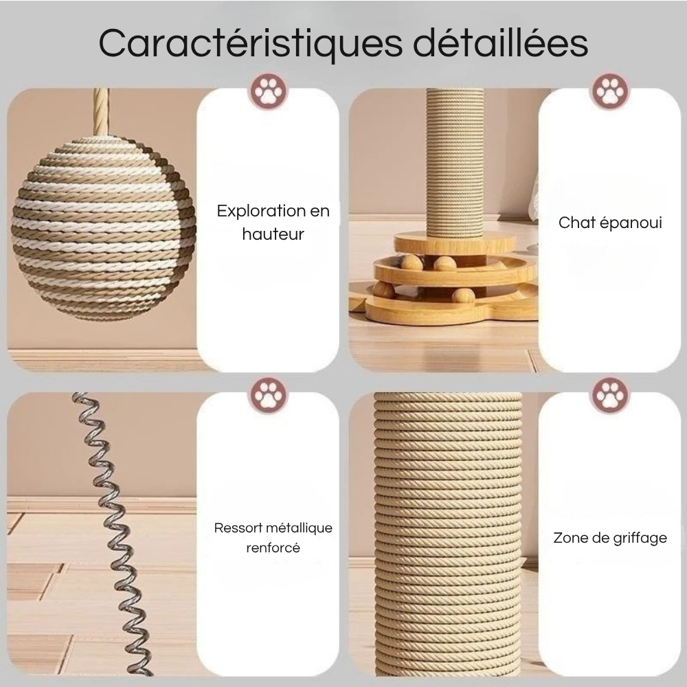 Poteau à Gratter Multi-Niveaux