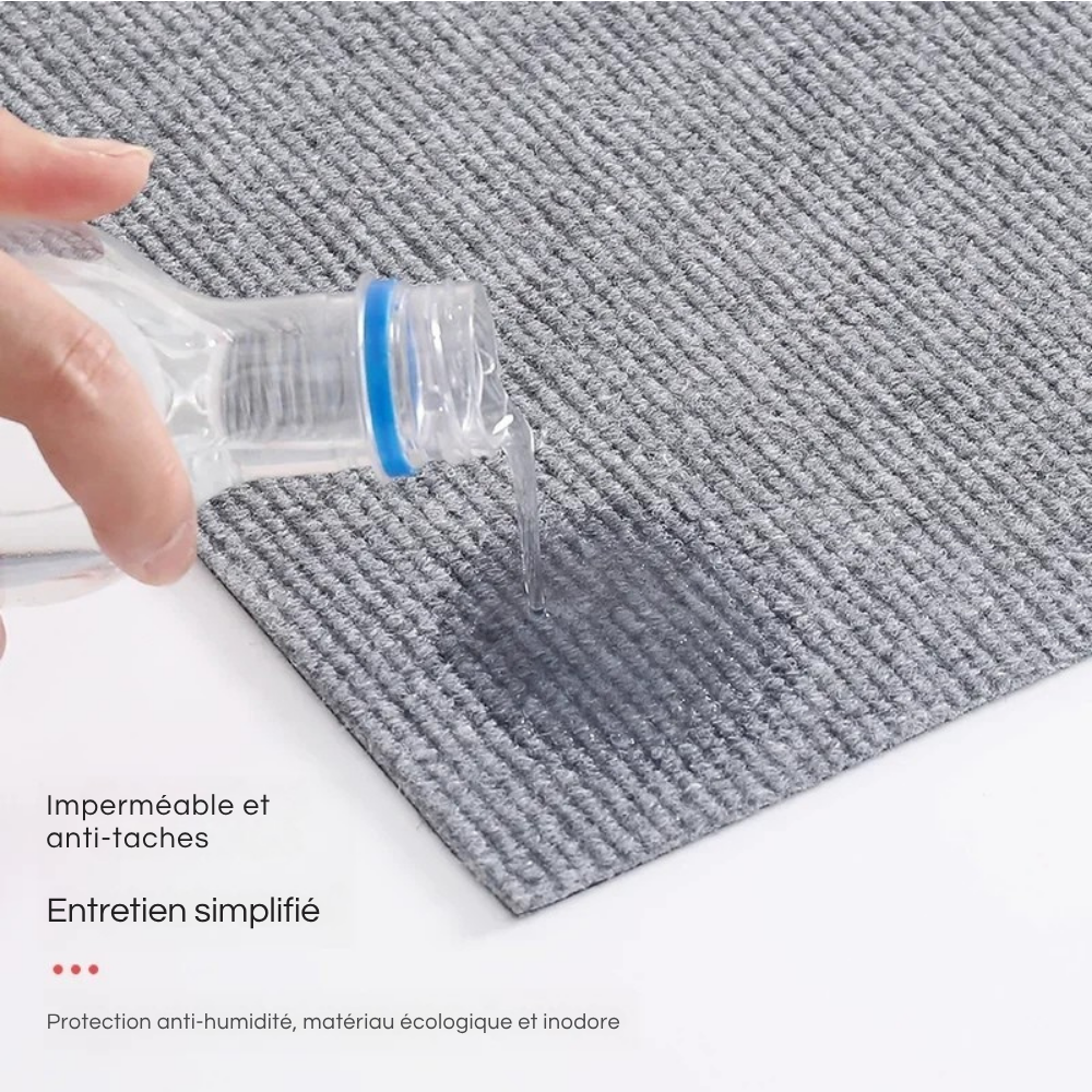 Plaques de Grattage Autocollantes Protectrices