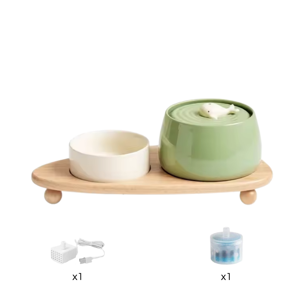 Fontaine Automatique Premium