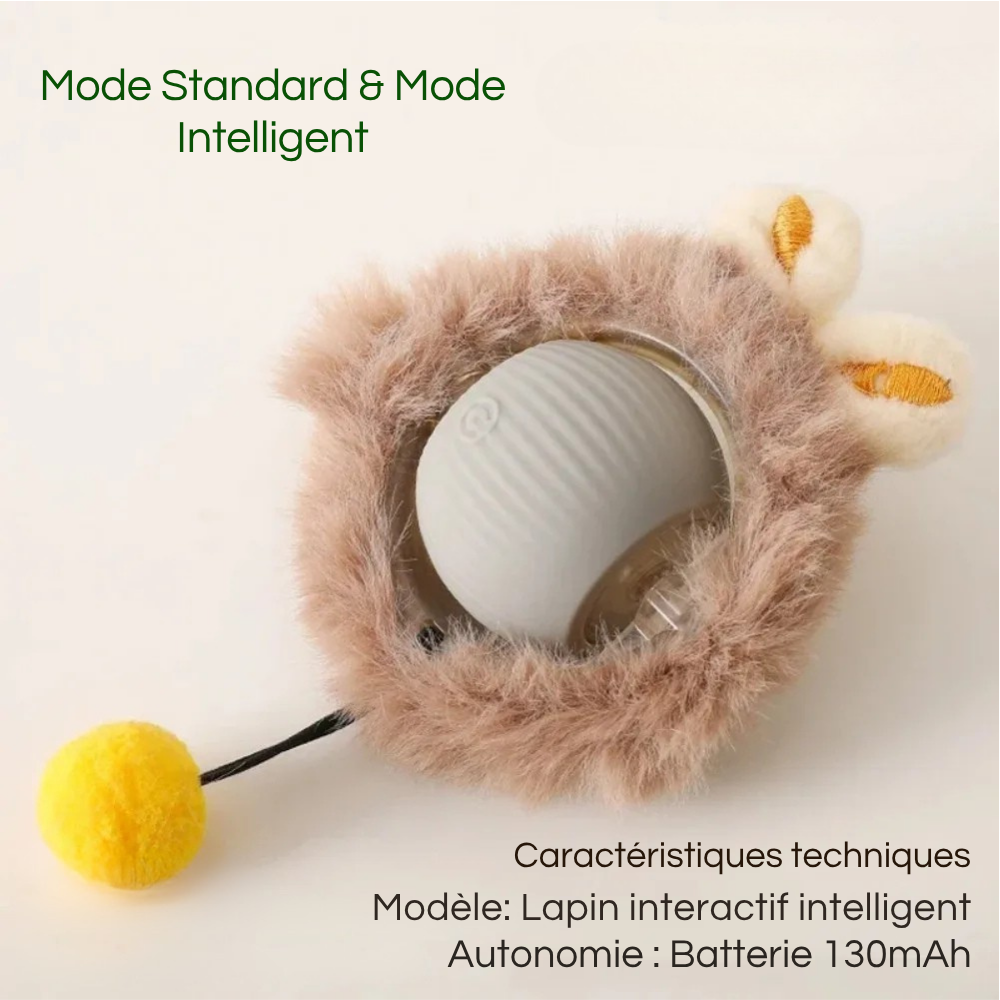 Balle Interactive Intelligente Rechargeable