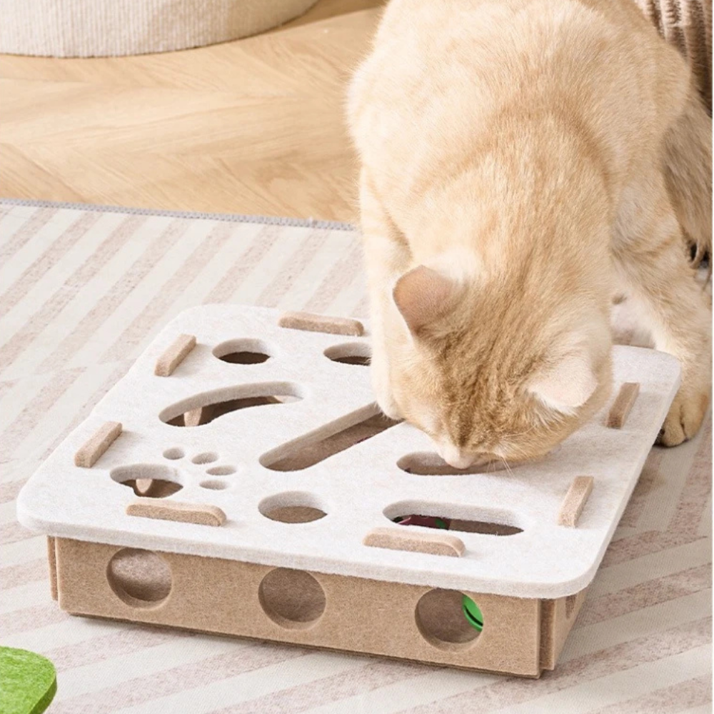 Jeu de Balles Multi-Trous