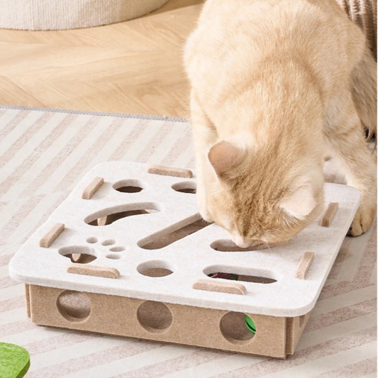 Jeu de Balles Multi-Trous