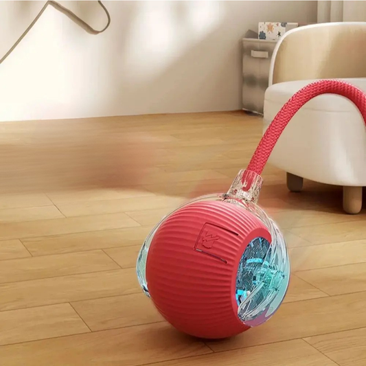 Balle Interactive Intelligente Rechargeable